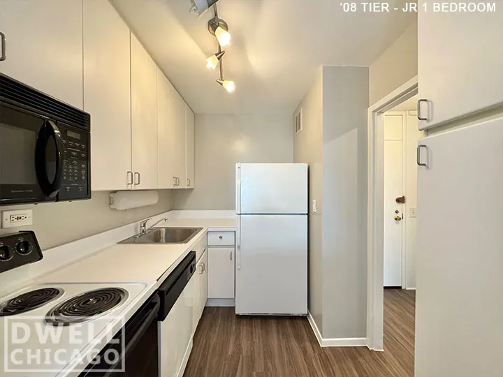 3450 N Lake Shore Dr, , 60657, USA 60657-unit#1202-Chicago-IL