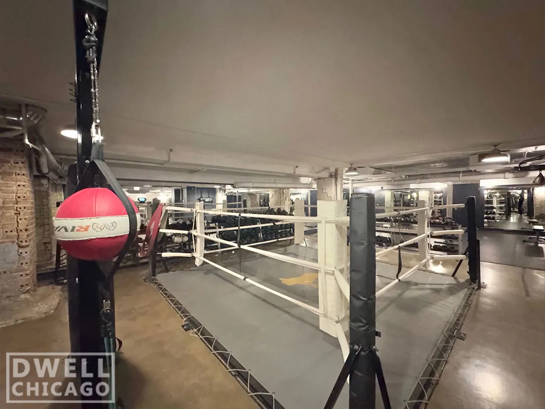 108 W Ave, , 60654, USA 60654-unit#304-Chicago-IL