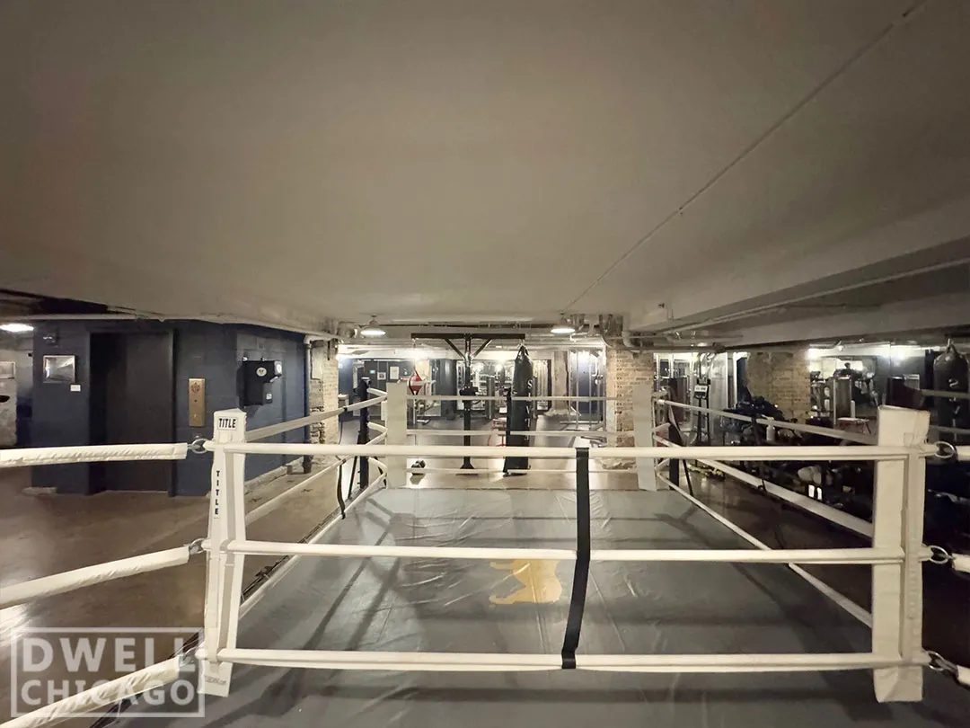 108 W Ave, , 60654, USA 60654-unit#304-Chicago-IL