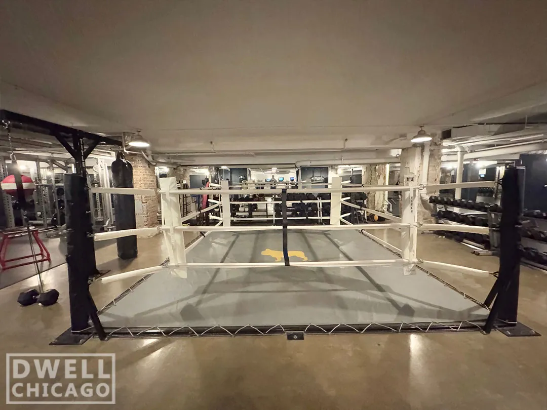 108 W Ave, , 60654, USA 60654-unit#304-Chicago-IL