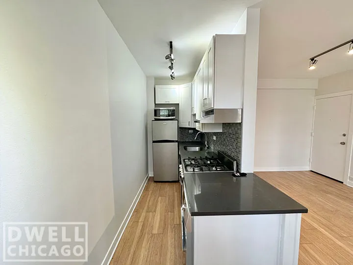 511 W Belmont Ave, ,  60657, USA 60657-unit#32-Chicago-IL