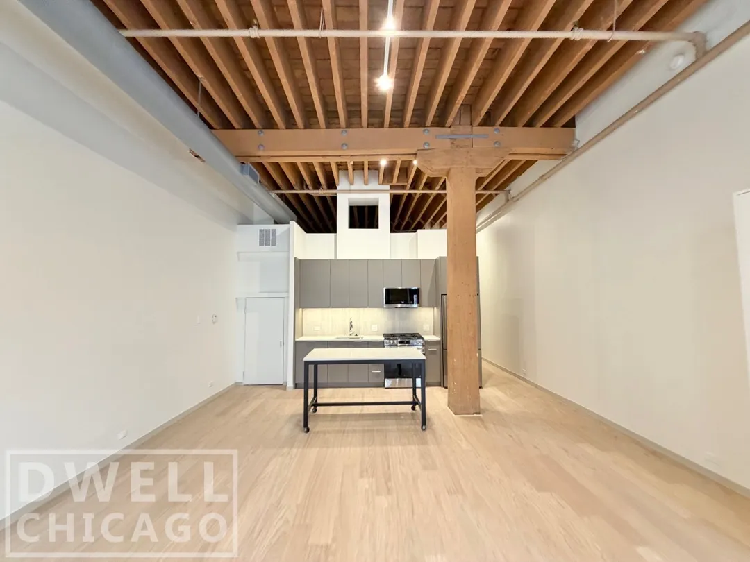 1350 N Wells St, , 60610, USA 60610-unit#C200-Chicago-IL