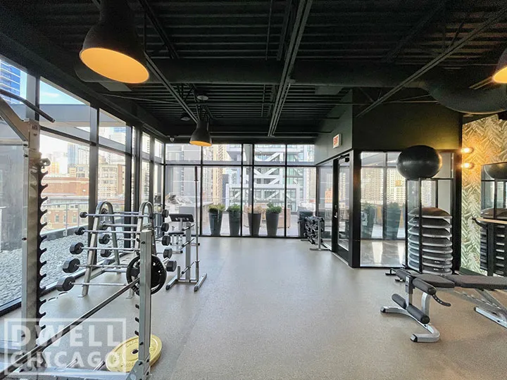 N LaSalle St, ,  60654, USA 60654-unit#225-Chicago-IL