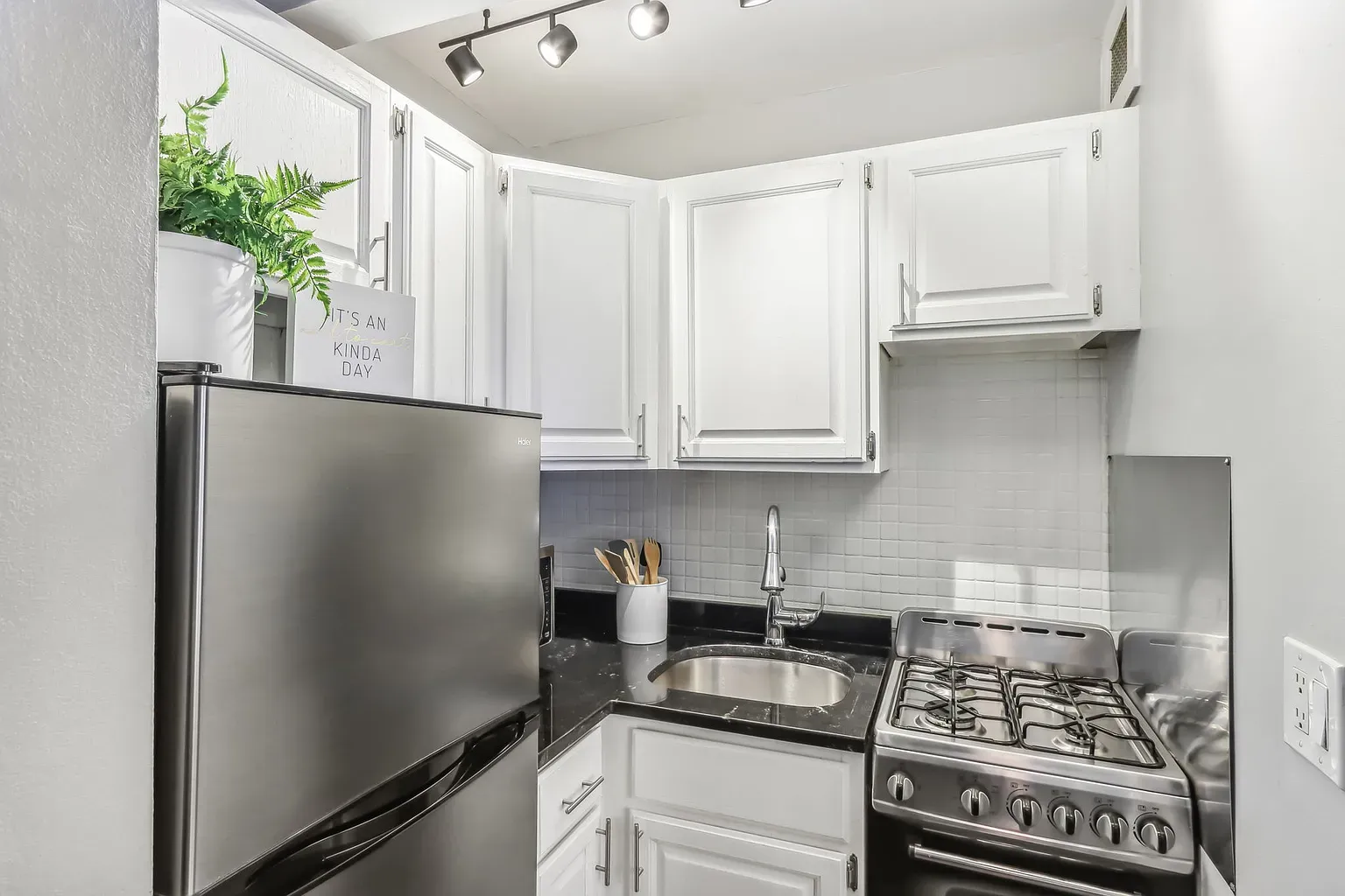 1140 N La Salle Dr, ,  60610, USA 60610-unit#0214-Chicago-IL