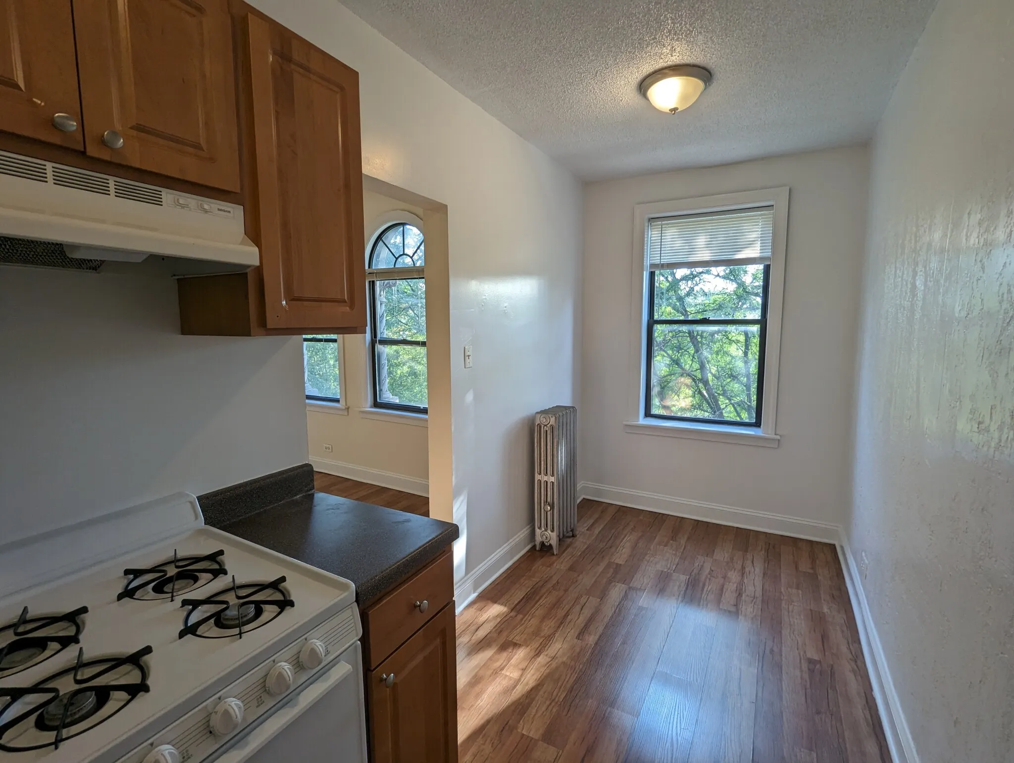 1742 N Humboldt Blvd, ,  60647, USA 60647-unit#302-Chicago-IL