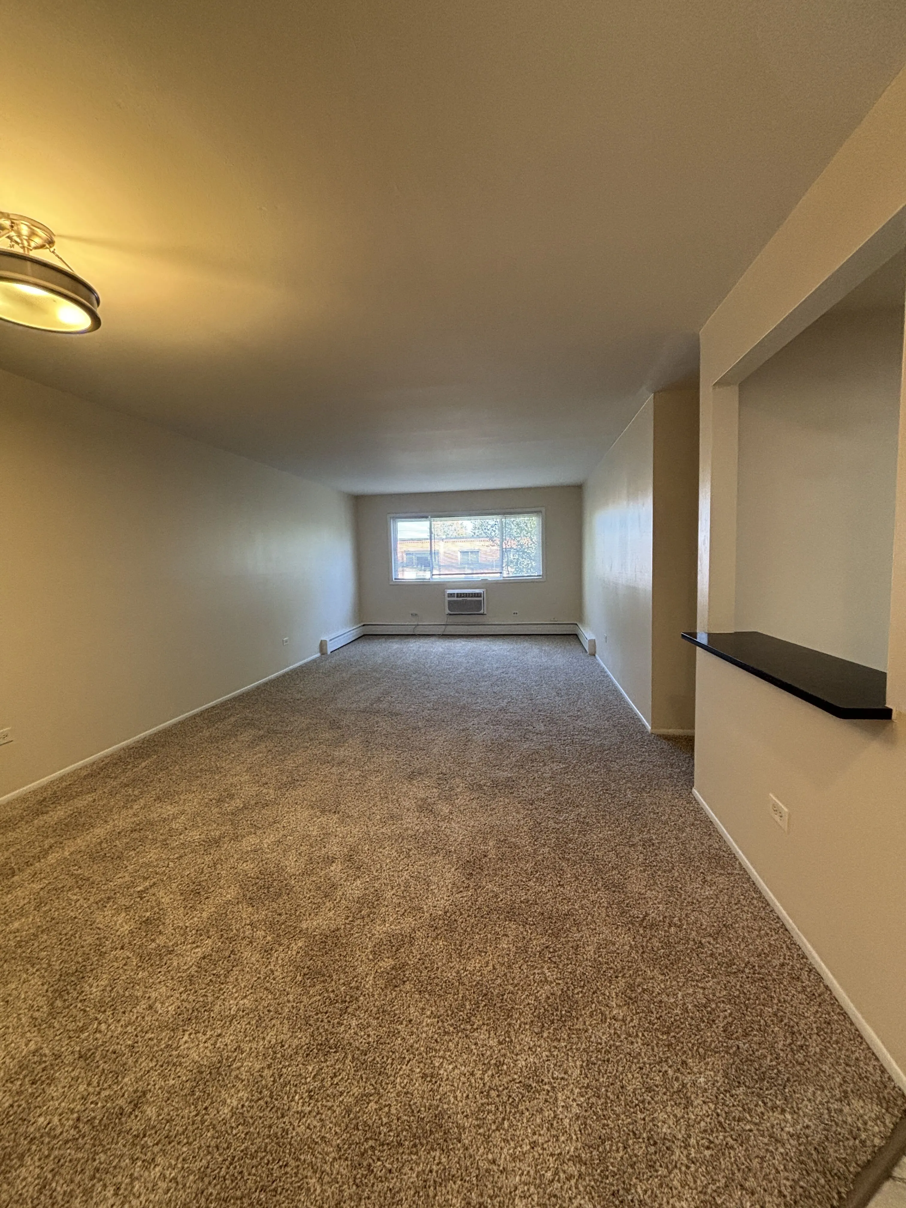 8503 Lotus Ave, , 60077, USA 60077-unit#313-Skokie-IL