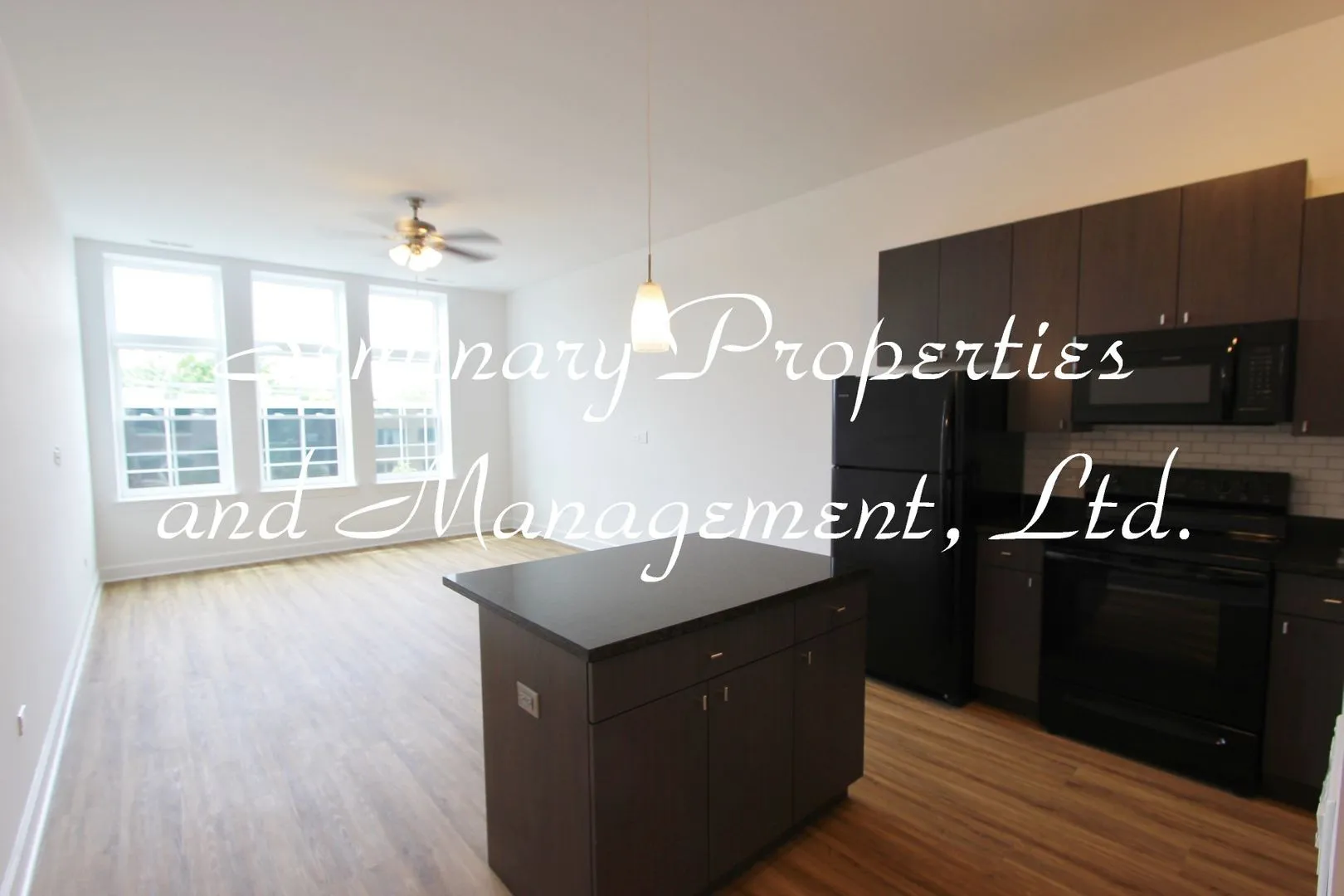 3647 N Southport Ave, , 60613, USA 60613-unit#205-Chicago-IL