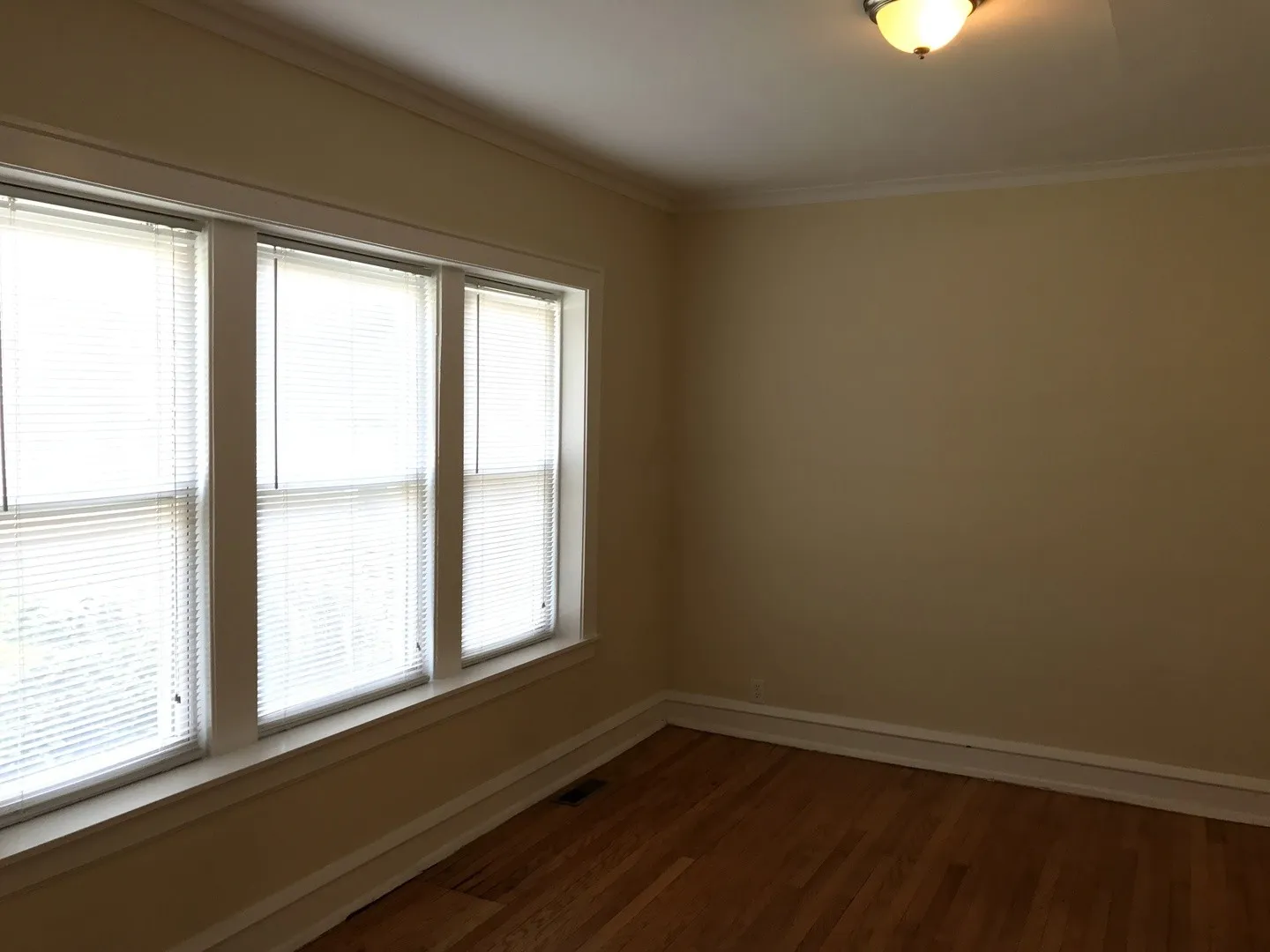 4029 N Monticello Ave, , 60618, USA 60618-unit#1W-Chicago-IL