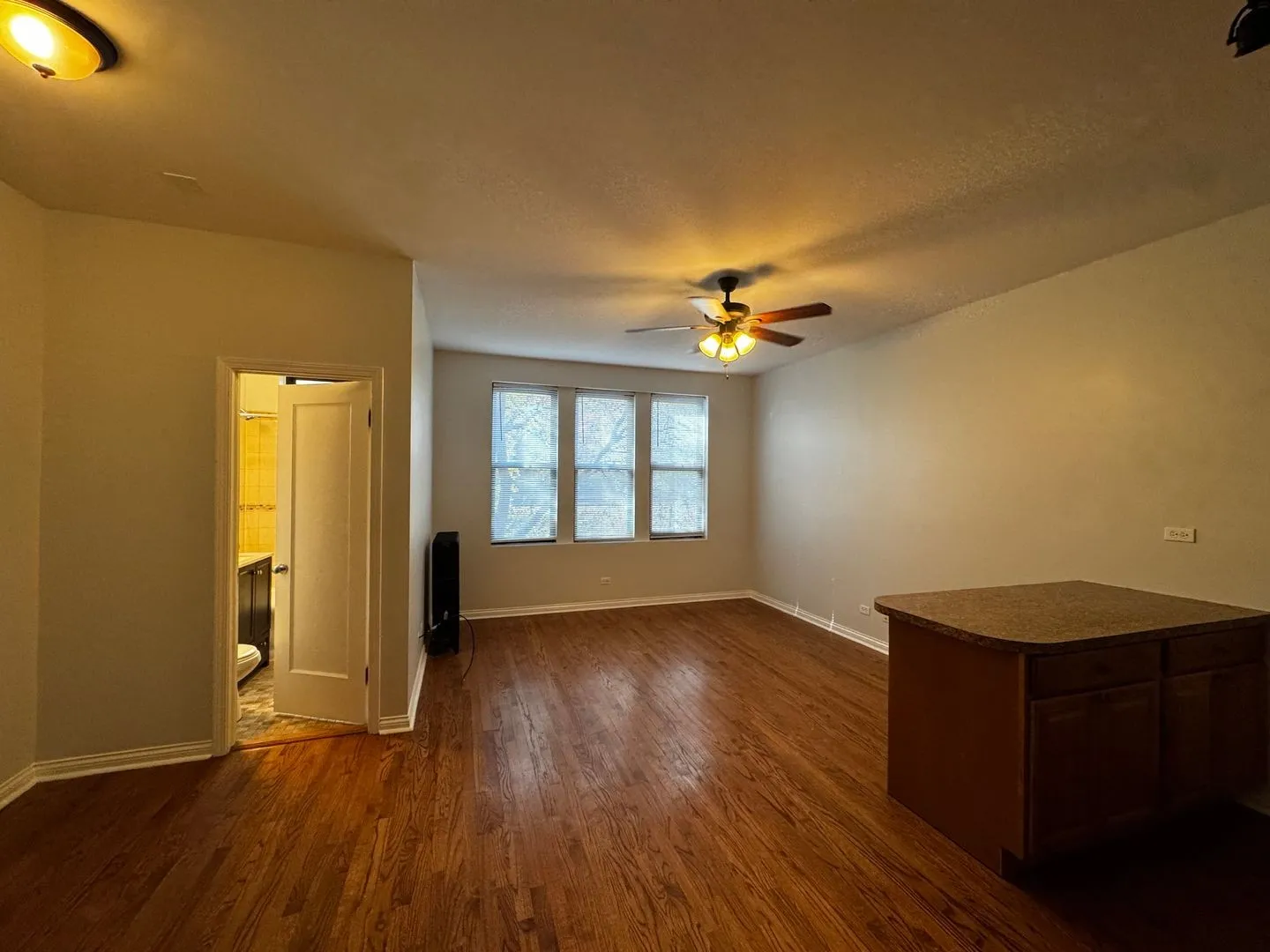 1344 W Lunt Ave, , 60626, USA 60626-unit#306-Chicago-IL