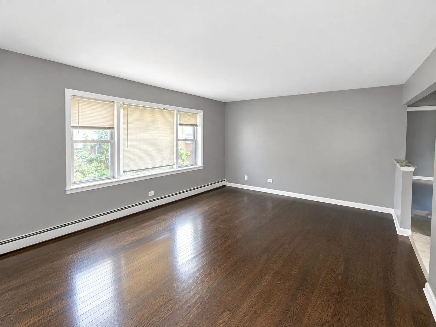 6711 S Chappel Ave, ,  60649, USA 60649-unit#1W-Chicago-IL