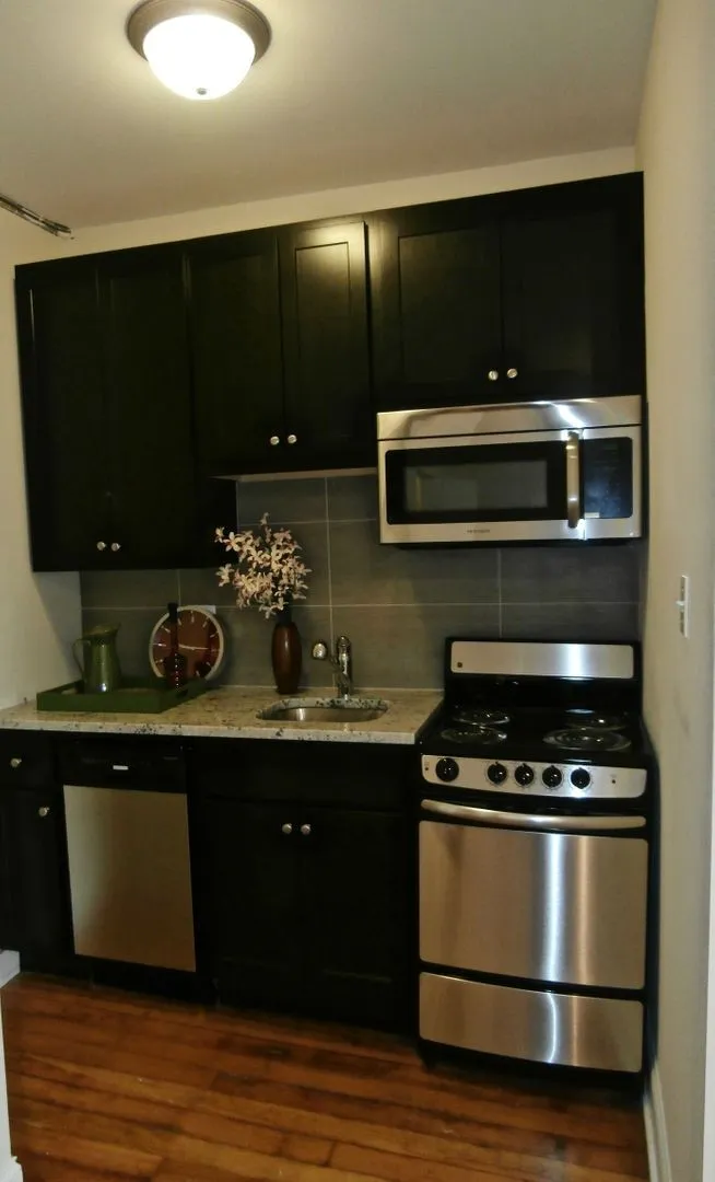 339 W Howard St, , 60202, USA 60202-unit#206-Evanston-IL