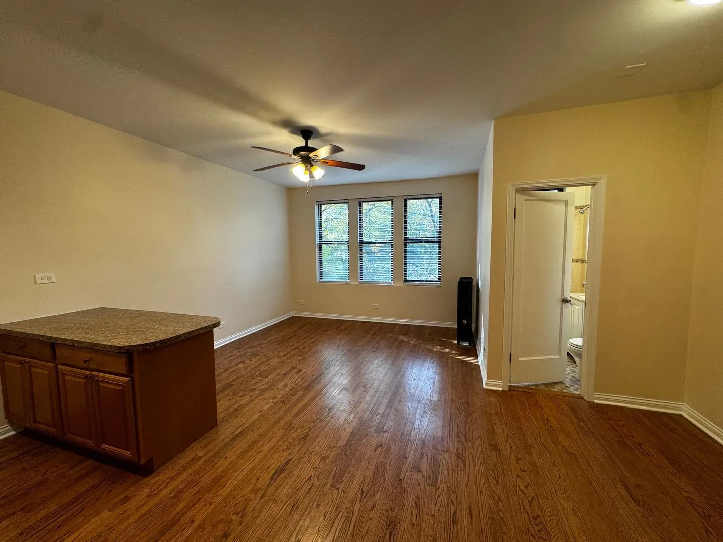 1344 W Lunt Ave, ,  60626, USA 60626-unit#309-Chicago-IL