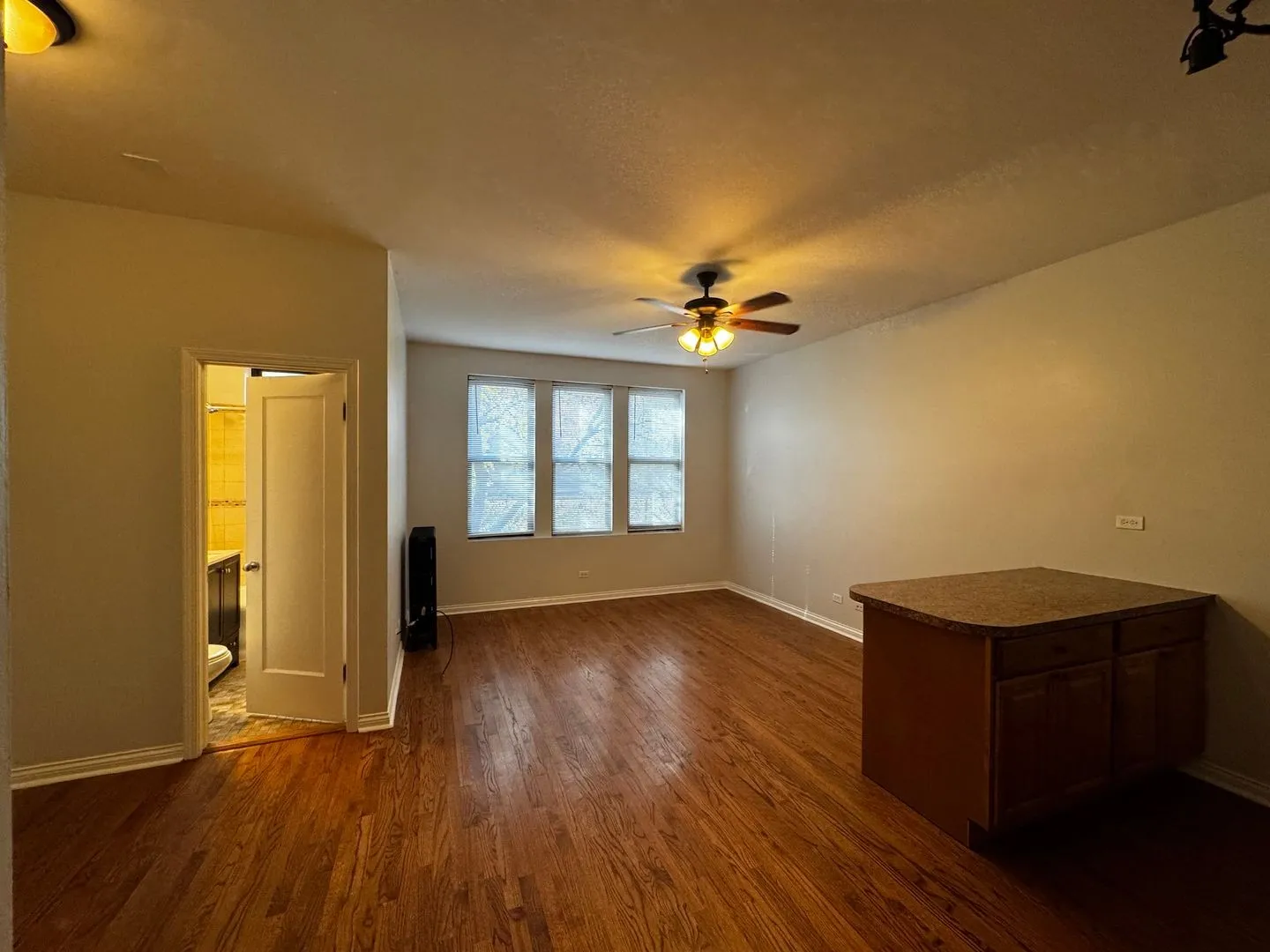 1344 W Lunt Ave, ,  60626, USA 60626-unit#310-Chicago-IL