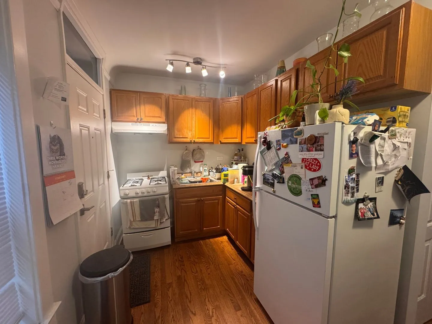7021 N Glenwood Ave, ,  60626, USA 60626-unit#2N-Chicago-IL