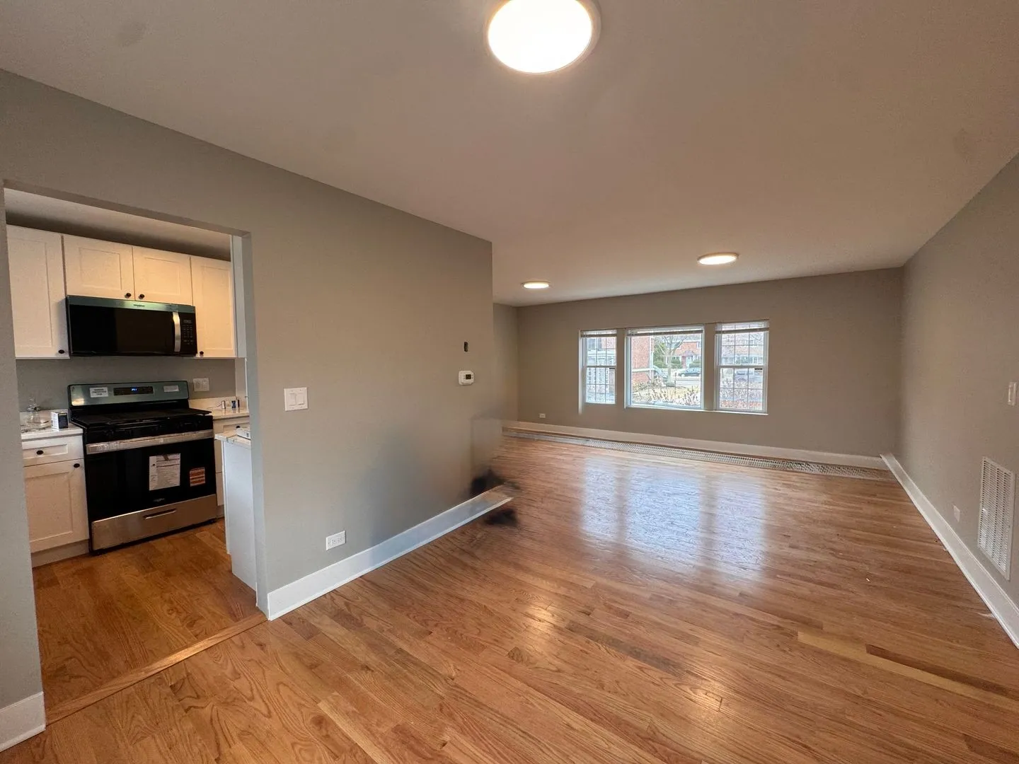371 Central Ave, ,  60035, USA 60035-unit#1W-Highland Park-IL