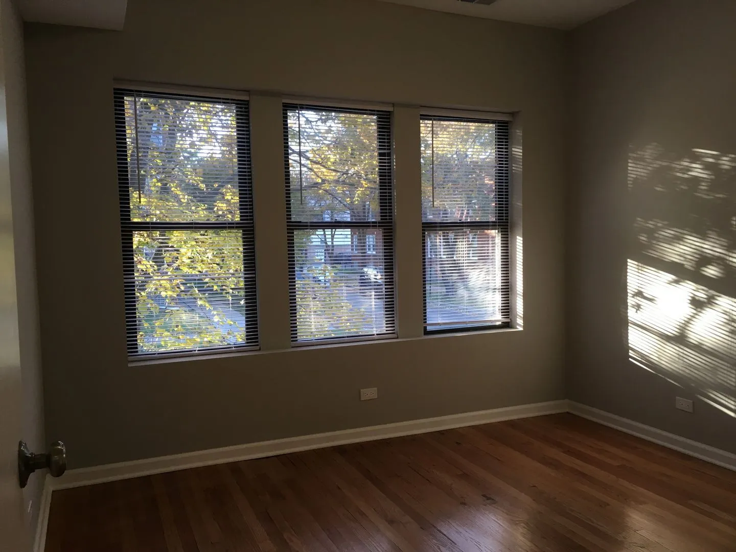 4257 N Sawyer Ave, ,  60618, USA 60618-unit#1-Chicago-IL