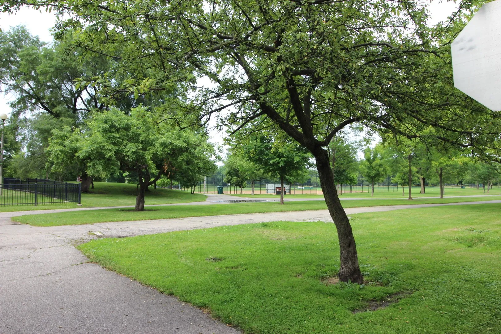 2321 W Arthur Ave, ,  60645, USA 60645-unit#3-Chicago-IL