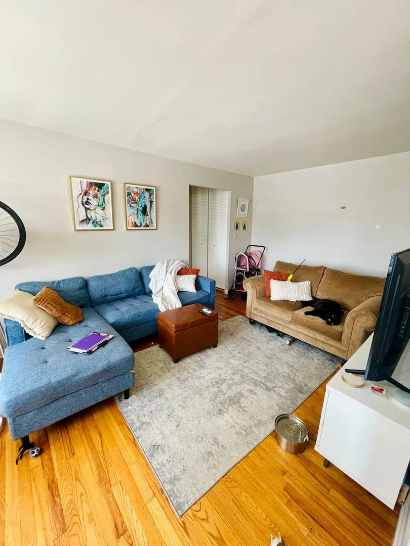 521 W Briar Pl, , 60657, USA 60657-unit#310-Chicago-IL