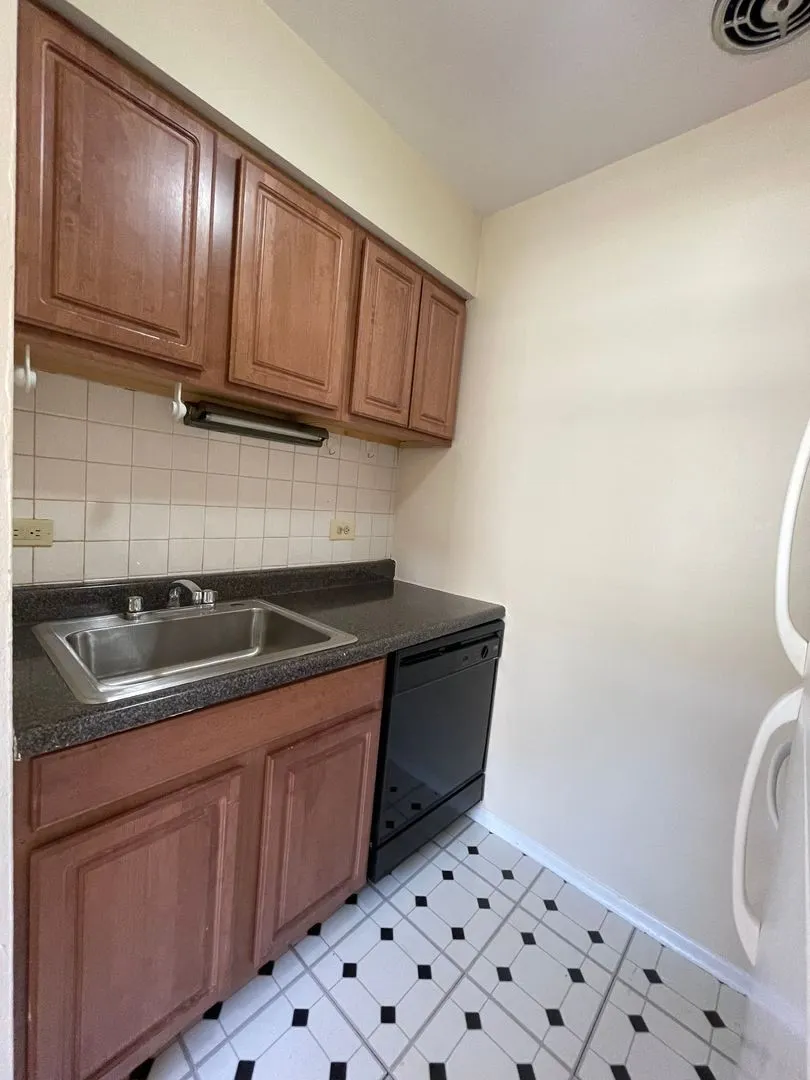 535 W Briar Pl, ,  60657, USA 60657-unit#560-Chicago-IL