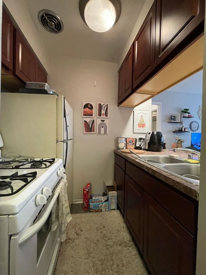 535 W Briar Pl, ,  60657, USA 60657-unit#355-Chicago-IL
