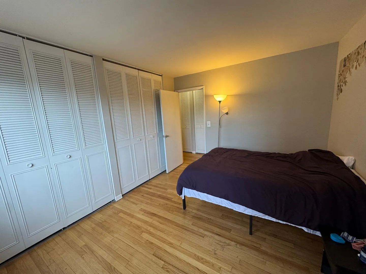 541 W Briar Pl, ,  60657, USA 60657-unit#402-Chicago-IL