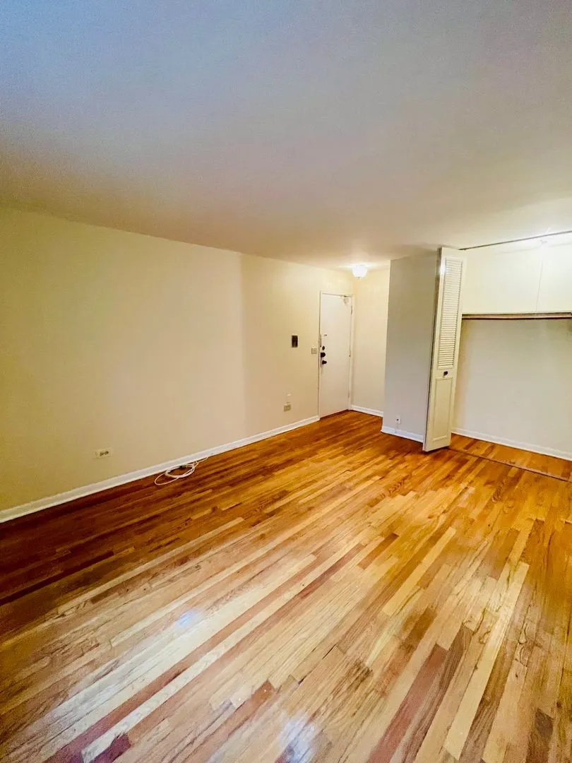 541 W Briar Pl, ,  60657, USA 60657-unit#307-Chicago-IL