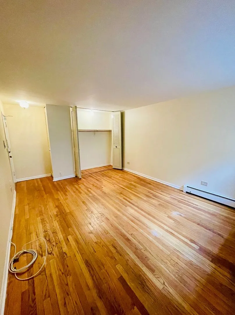 541 W Briar Pl, ,  60657, USA 60657-unit#407-Chicago-IL