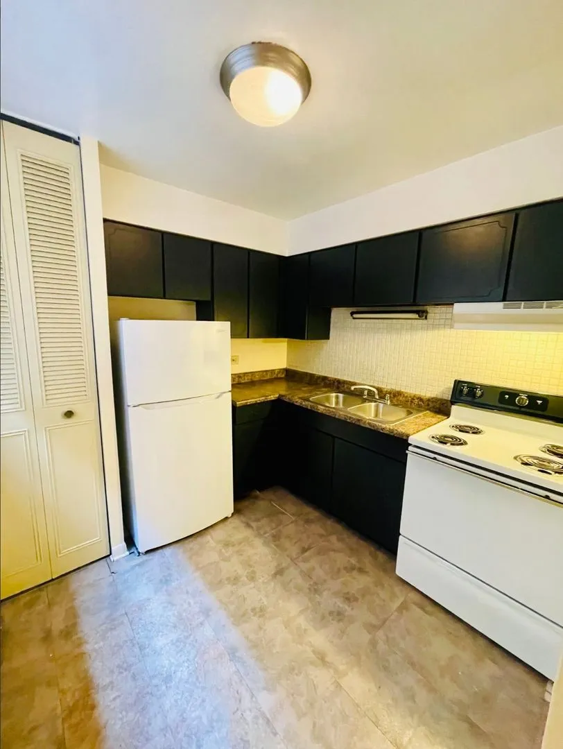 541 W Briar Pl, ,  60657, USA 60657-unit#407-Chicago-IL