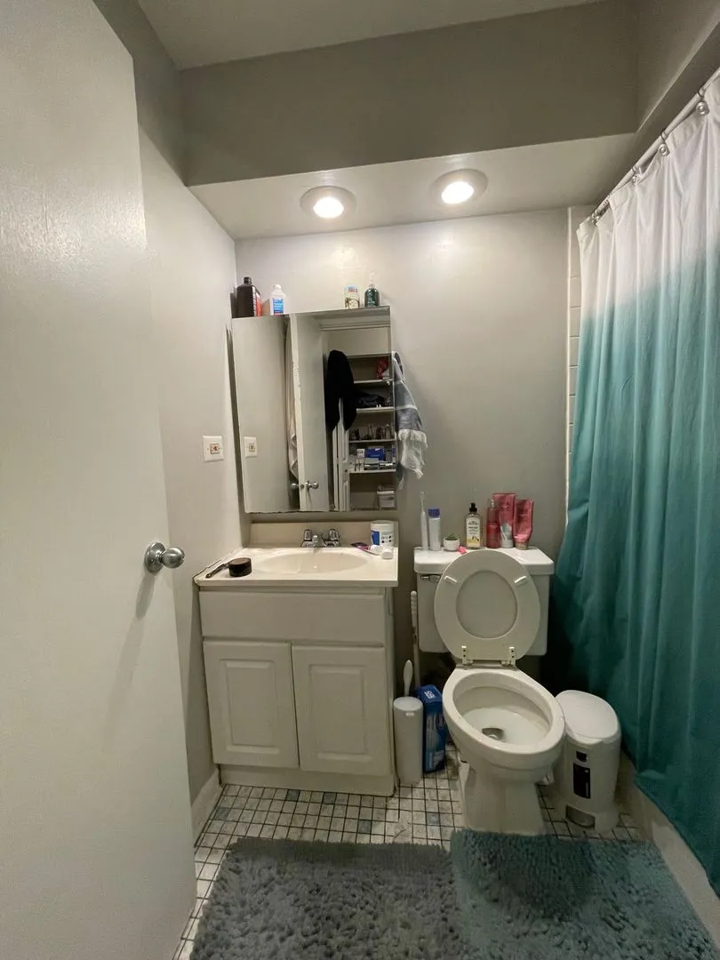 521 W Briar Pl, ,  60657, USA 60657-unit#101-Chicago-IL
