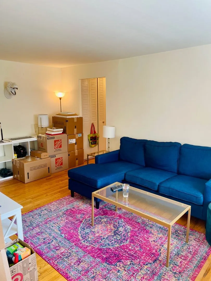 521 W Briar Pl, ,  60657, USA 60657-unit#203-Chicago-IL