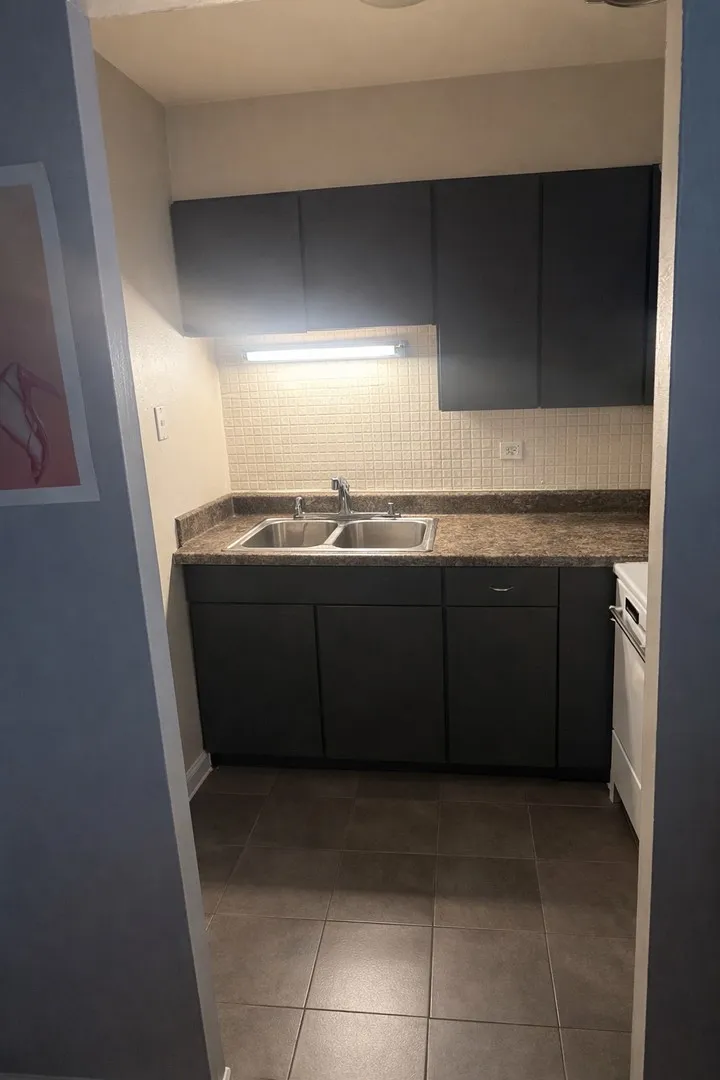 541 W Briar Pl, ,  60657, USA 60657-unit#502-Chicago-IL