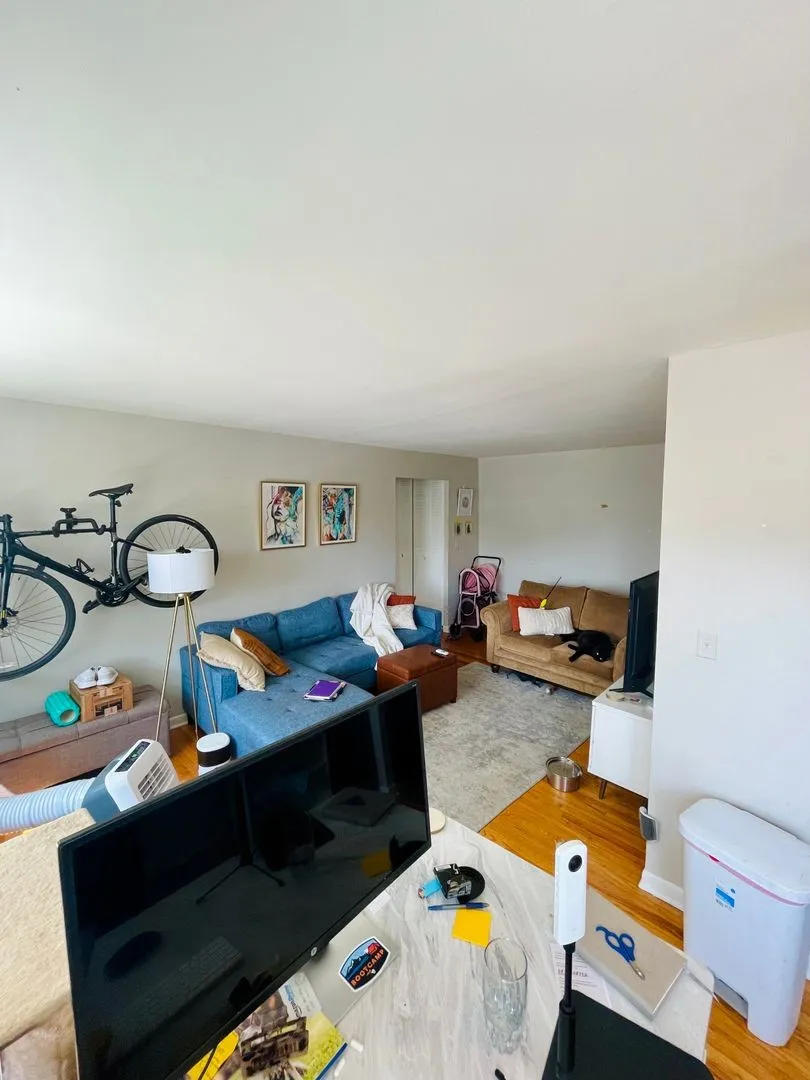 521 W Briar Pl, , 60657, USA 60657-unit#310-Chicago-IL