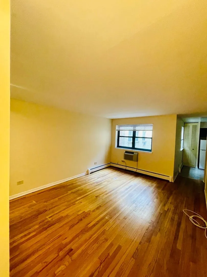 541 W Briar Pl, ,  60657, USA 60657-unit#407-Chicago-IL