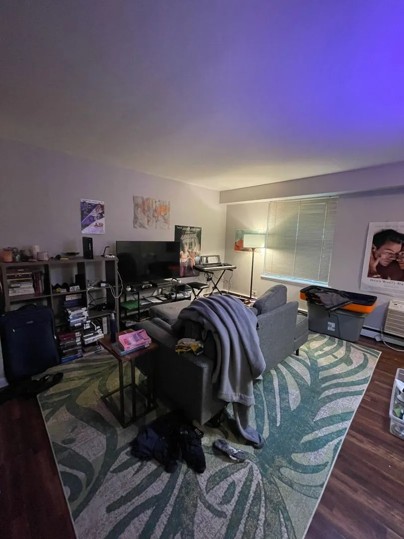 521 W Briar Pl, ,  60657, USA 60657-unit#101-Chicago-IL