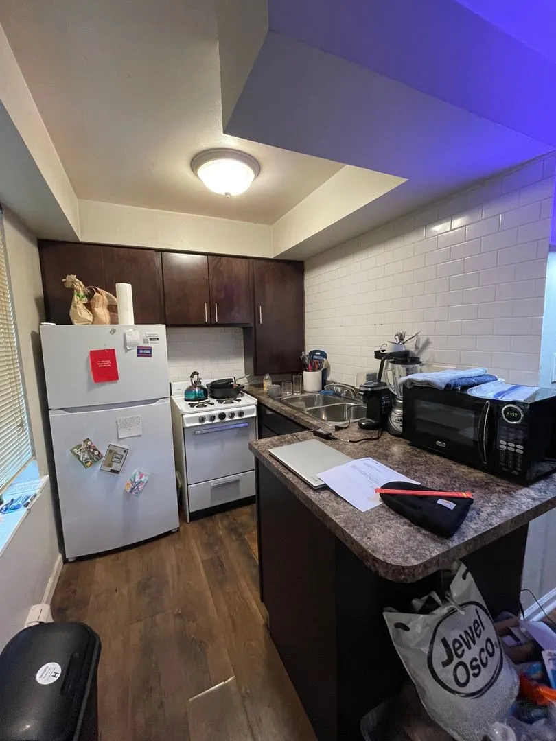 521 W Briar Pl, ,  60657, USA 60657-unit#101-Chicago-IL