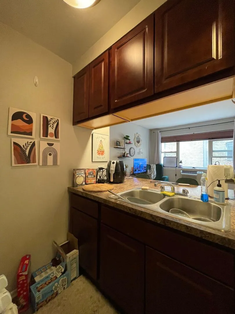 535 W Briar Pl, ,  60657, USA 60657-unit#355-Chicago-IL