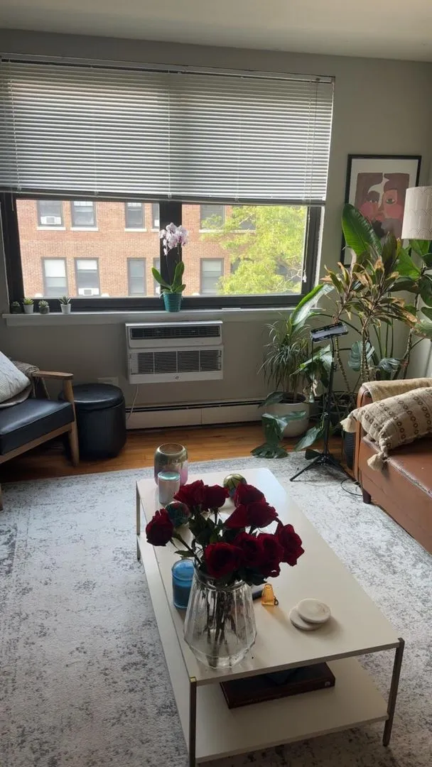 541 W Briar Pl, ,  60657, USA 60657-unit#502-Chicago-IL