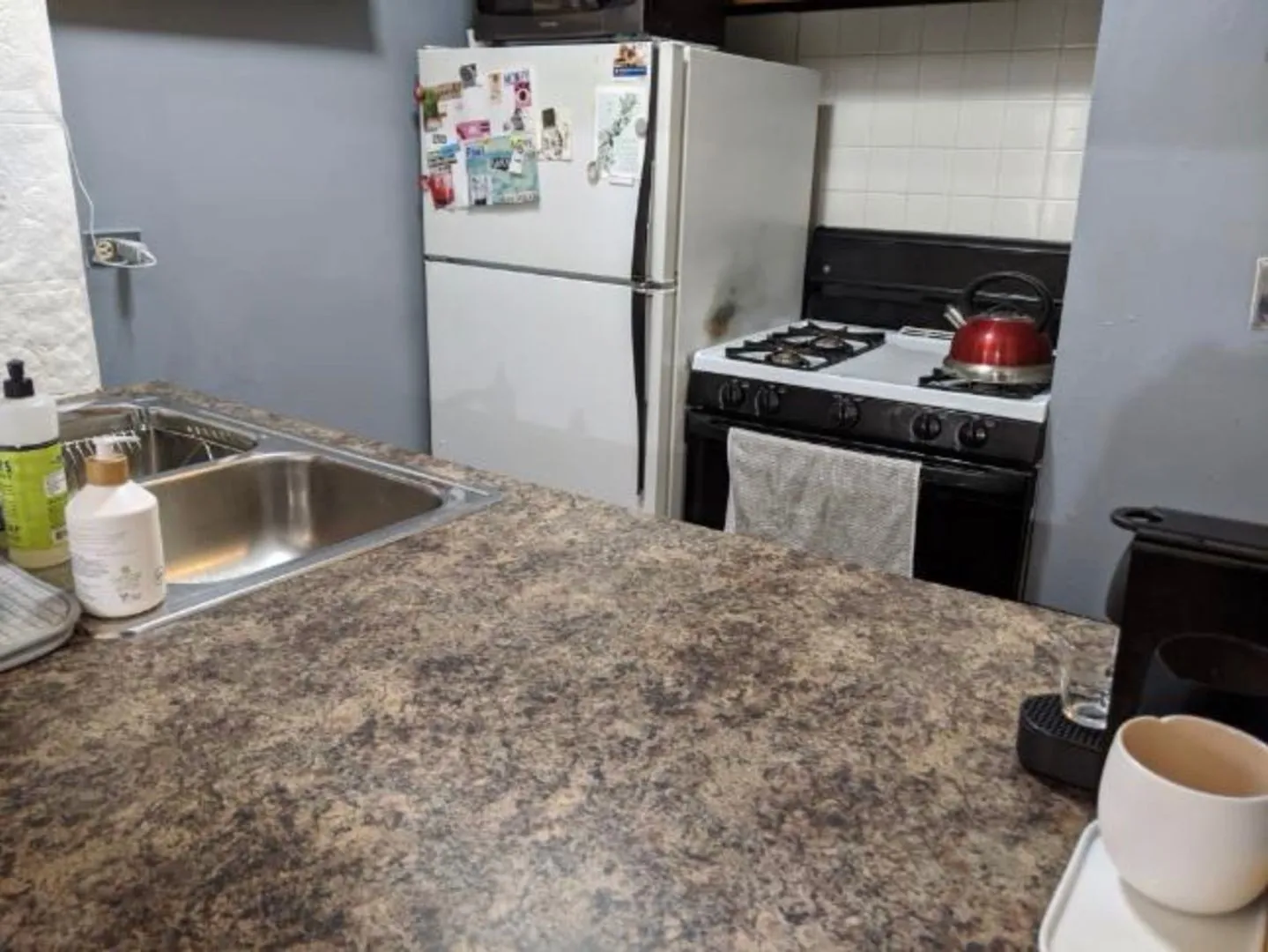 521 W Briar Pl, ,  60657, USA 60657-unit#306-Chicago-IL