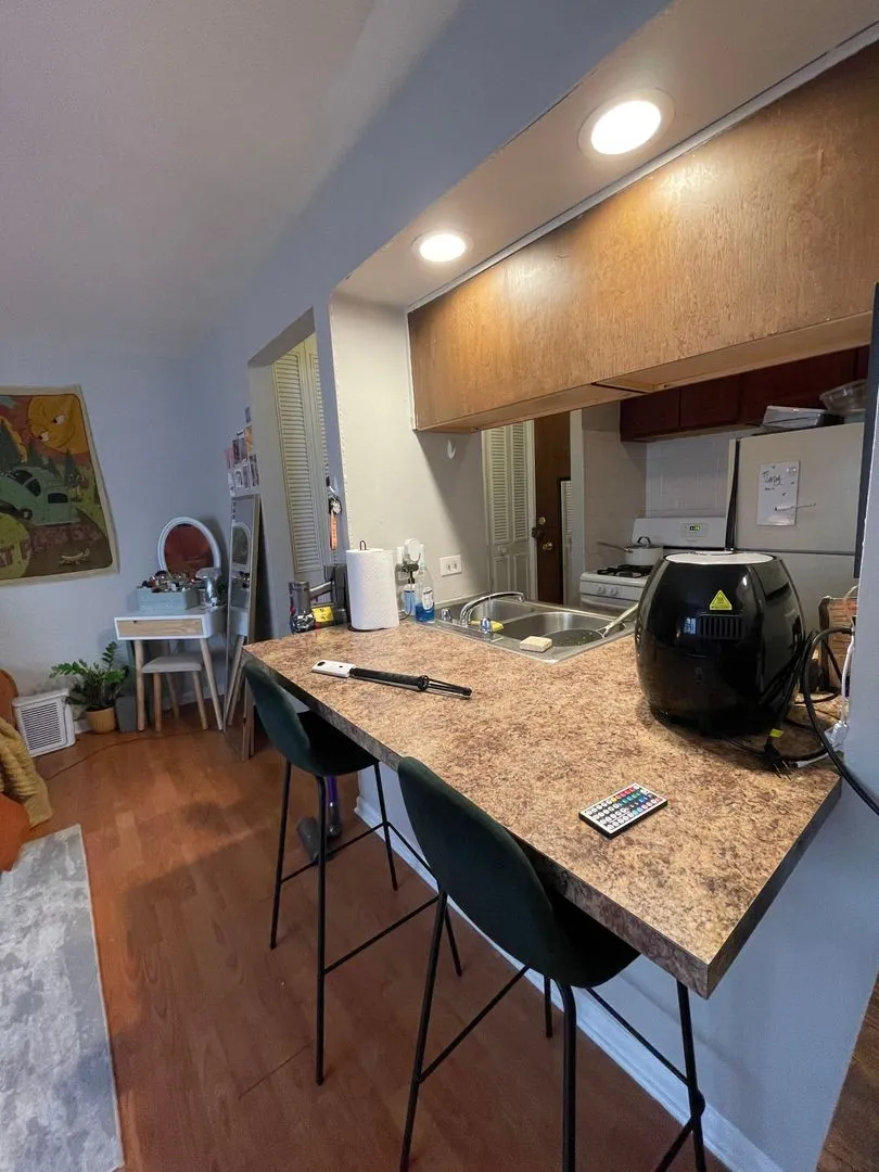 535 W Briar Pl, ,  60657, USA 60657-unit#355-Chicago-IL