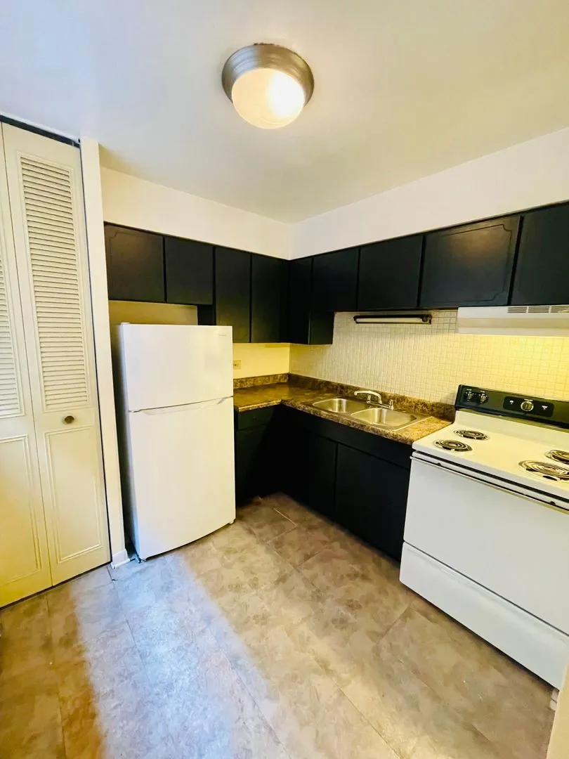 541 W Briar Pl, ,  60657, USA 60657-unit#307-Chicago-IL