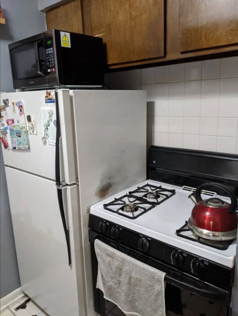 521 W Briar Pl, , 60657, USA 60657-unit#306-Chicago-IL