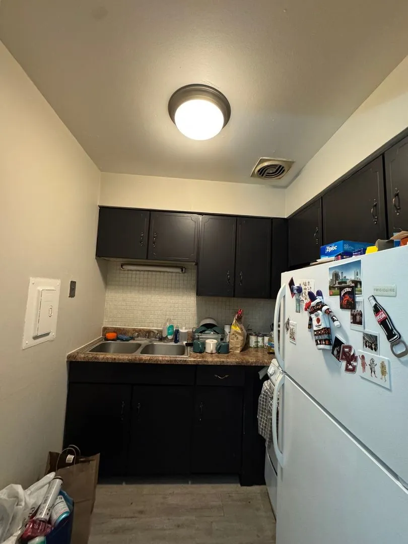 541 W Briar Pl, ,  60657, USA 60657-unit#402-Chicago-IL