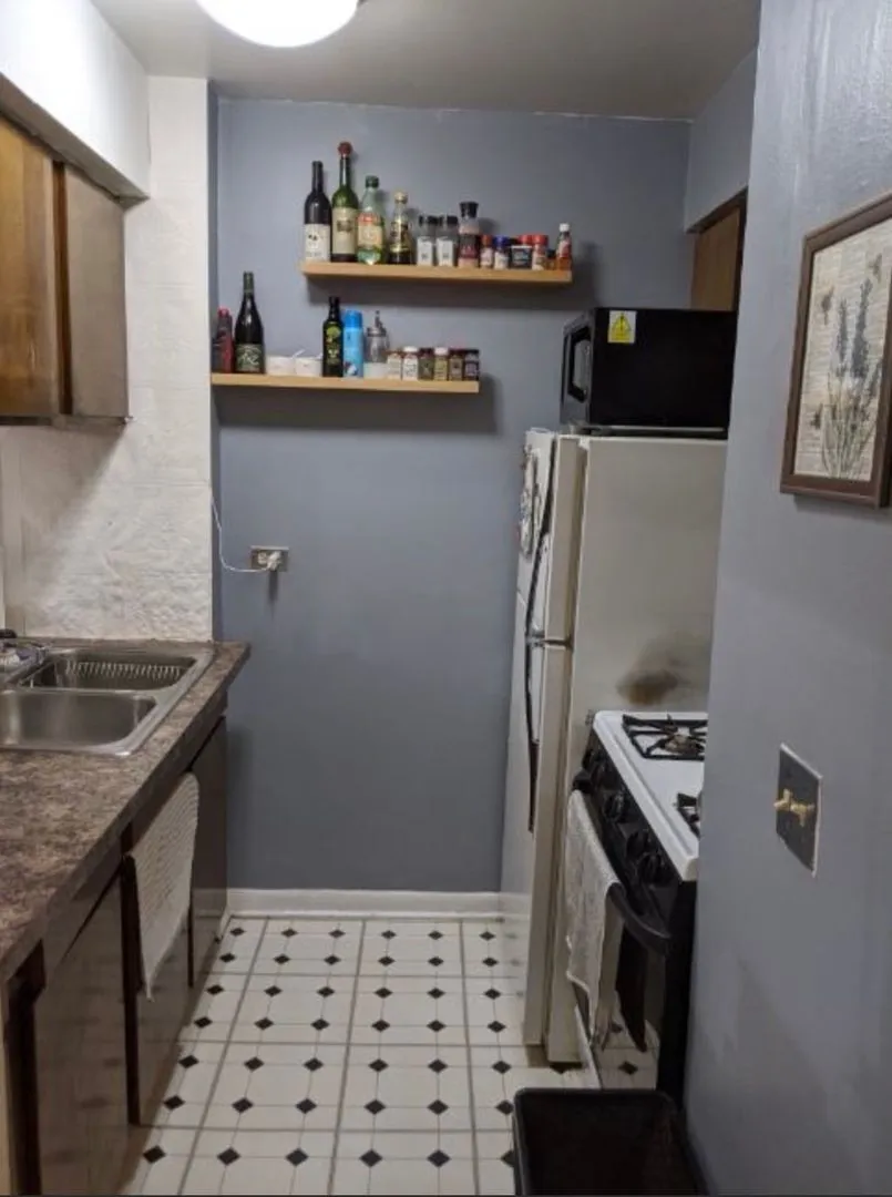 521 W Briar Pl, , 60657, USA 60657-unit#306-Chicago-IL