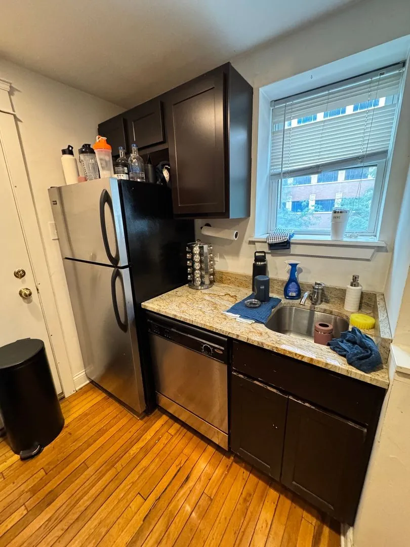 501 W Deming Pl, ,  60614, USA 60614-unit#2S-Chicago-IL