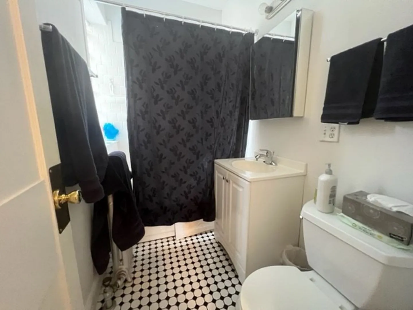 4901 N Paulina St, ,  60640, USA 60640-unit#3-Chicago-IL