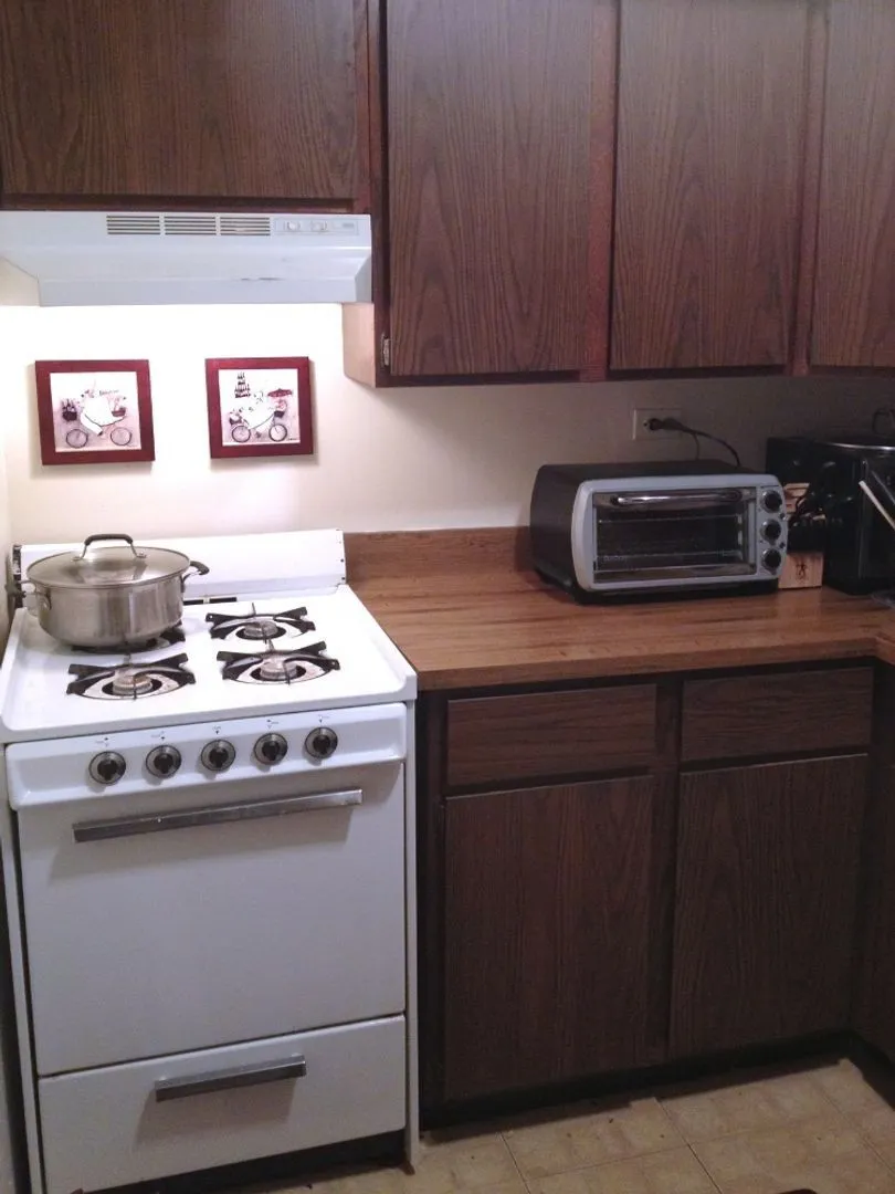 911 W George St, , 60657, USA 60657-unit#3-Chicago-IL