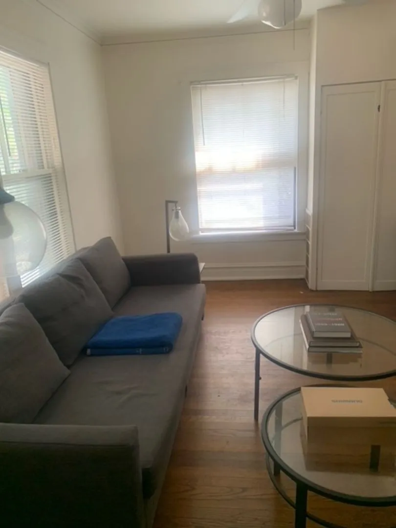 2858 N Mildred Ave, ,  60657, USA 60657-unit#2-Chicago-IL