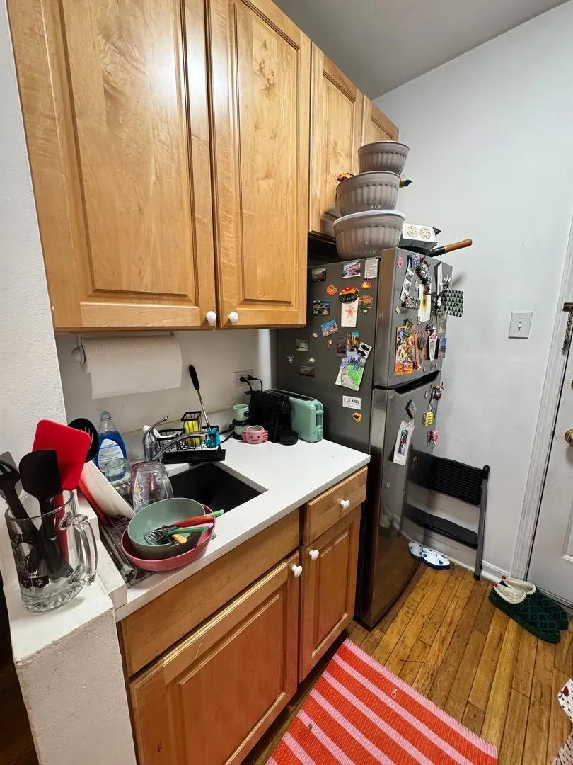 511 W Deming Pl, ,  60614, USA 60614-unit#1S-Chicago-IL