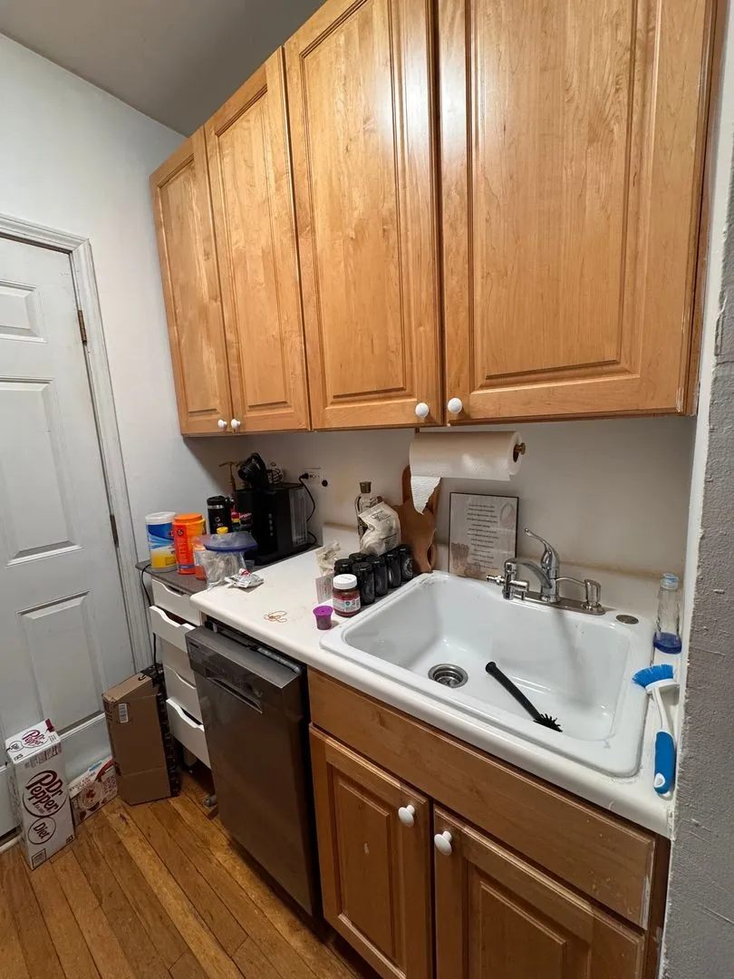 517 W Deming Pl, , 60614, USA 60614-unit#2N-Chicago-IL