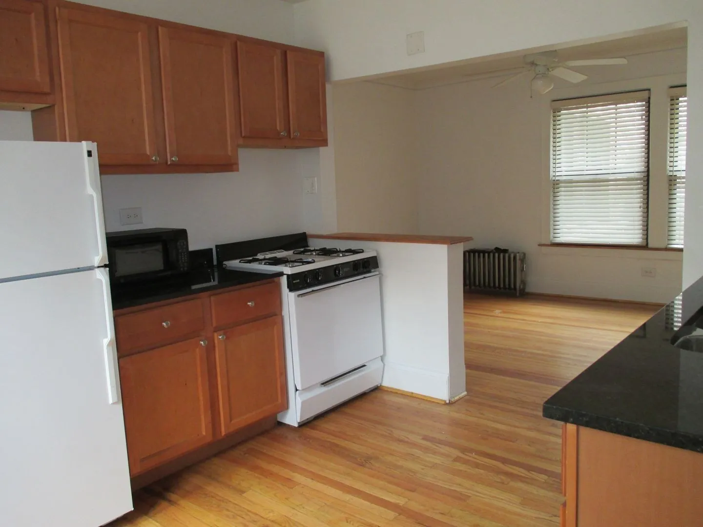 925 W Oakdale Ave, , 60657, USA 60657-unit#3F-Chicago-IL